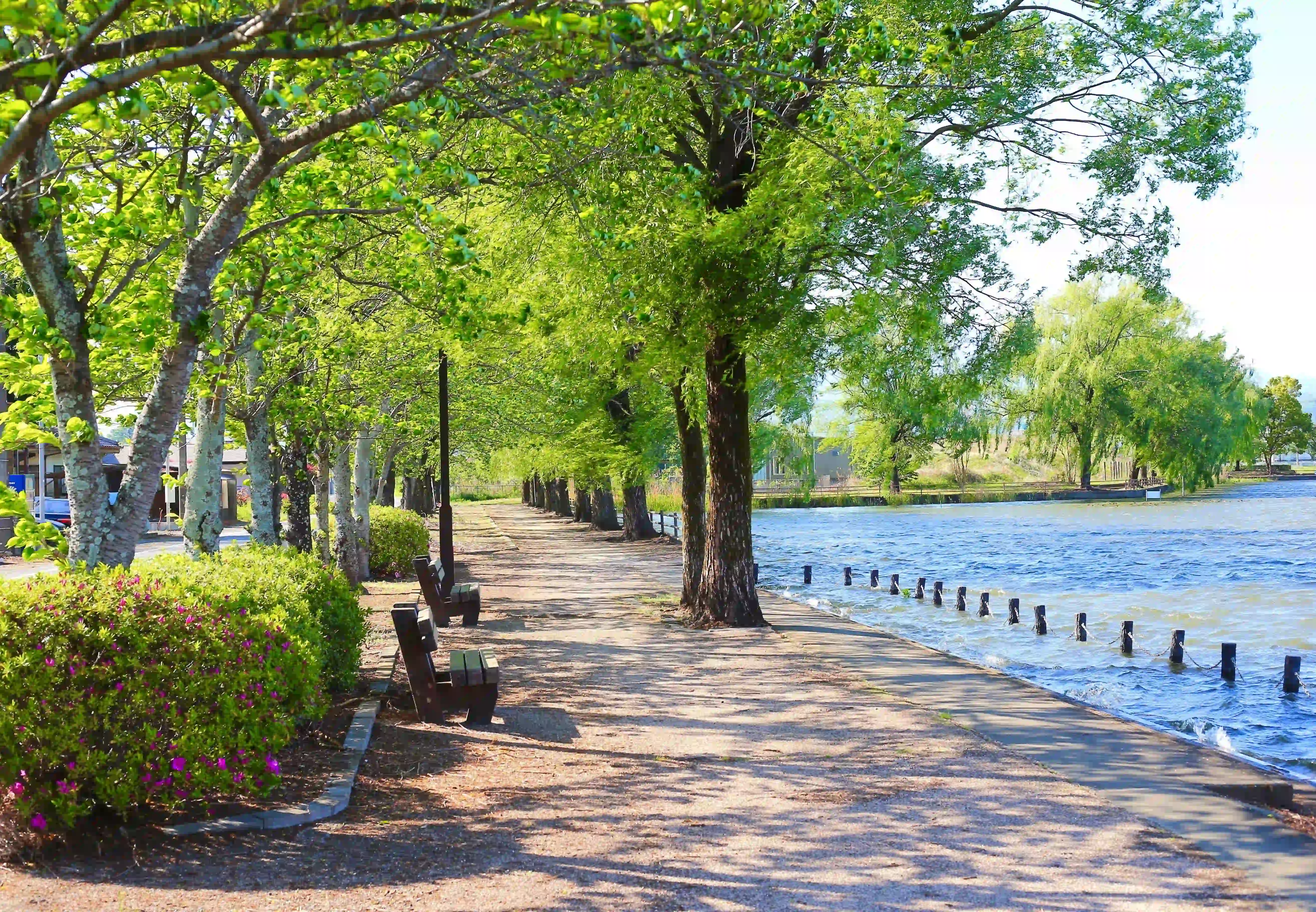 Cinnaminson Community Park